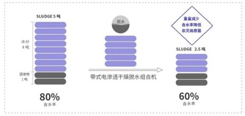 新環(huán)環(huán)保 污泥處置先進技術產(chǎn)品服務商，引領綠色環(huán)保新未來